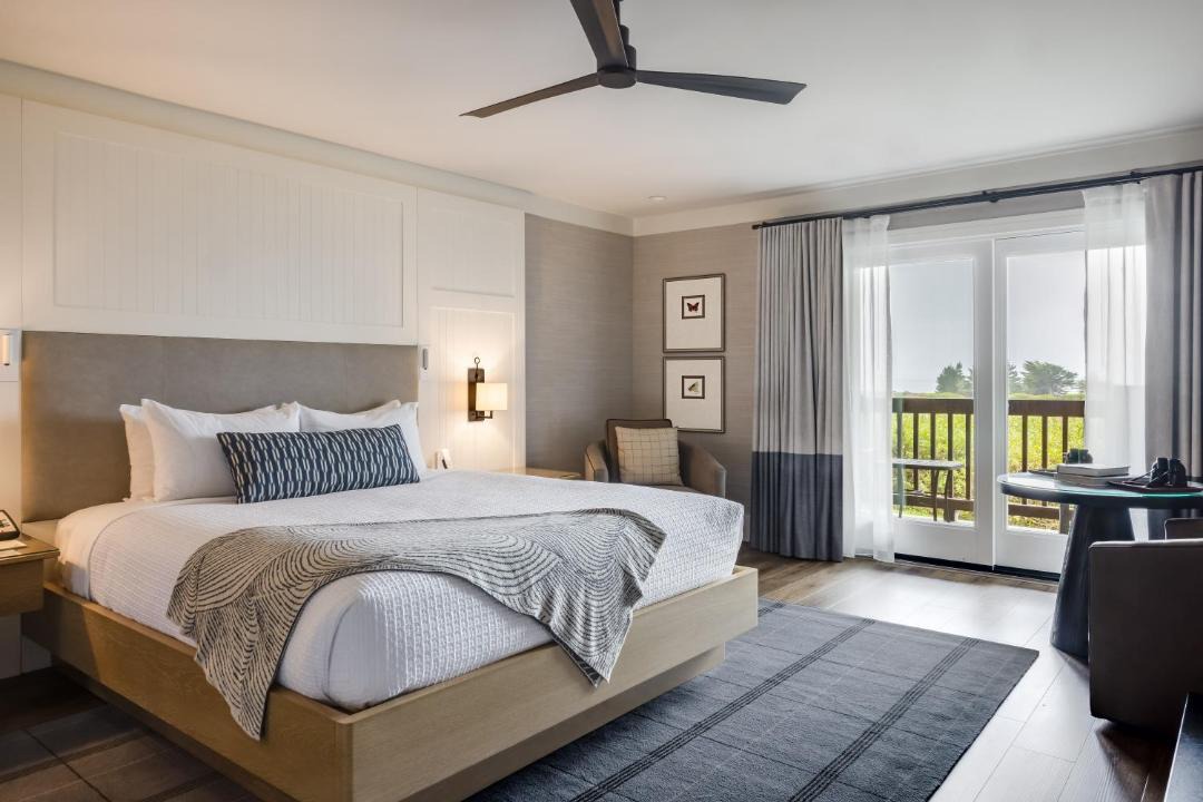 Photo of Others in Bodega Bay