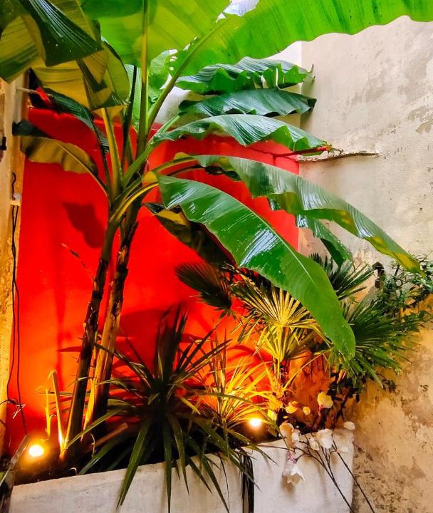 Photo of Others in North district