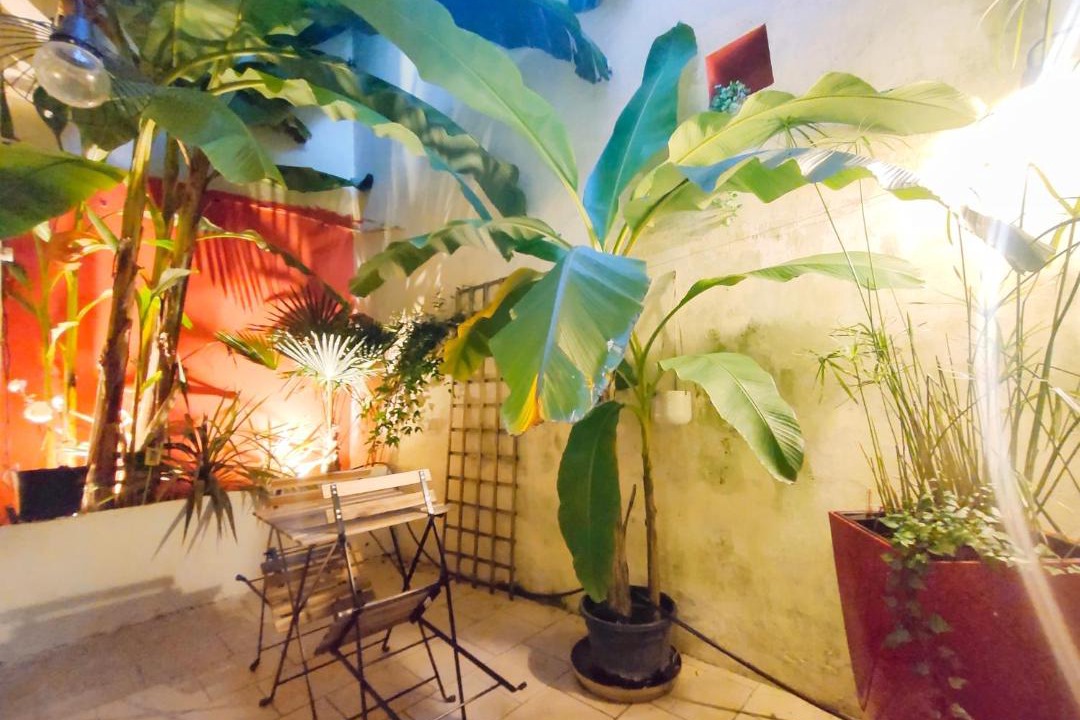 Photo of Others in North district