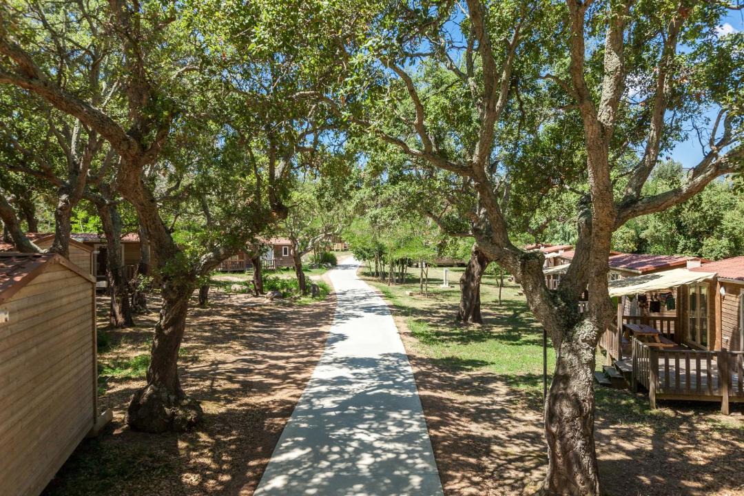 Photo of Others in Porto-Vecchio