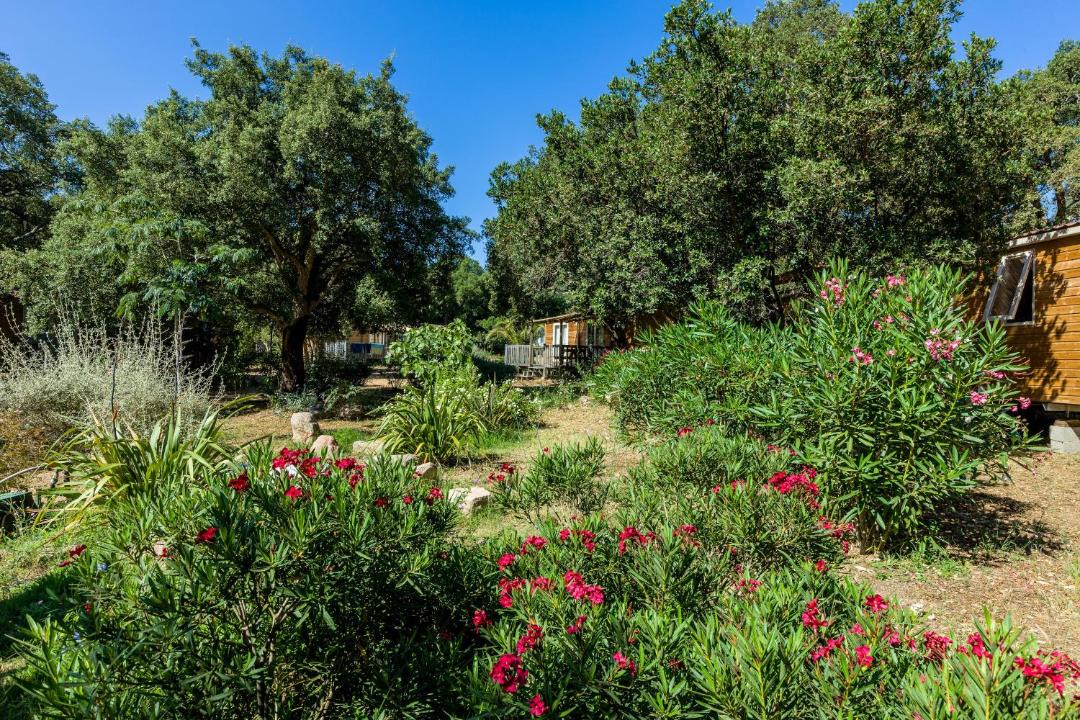 Photo of Others in Porto-Vecchio