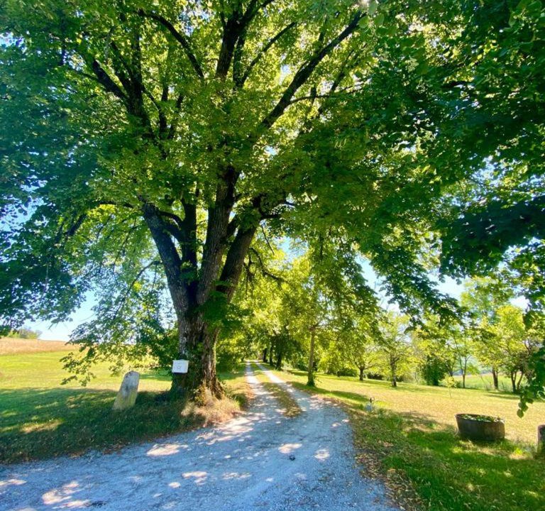 Photo of Others in Nanteuil-de-Bourzac