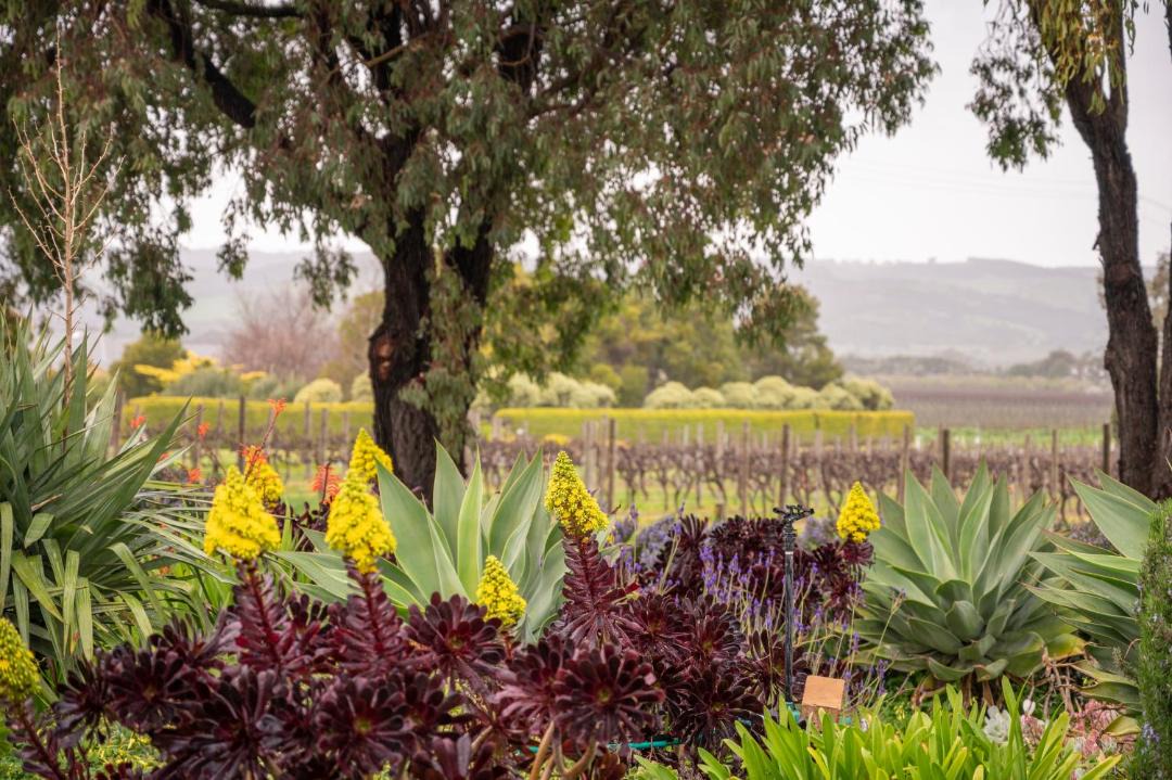 Photo of Others in Whites Valley