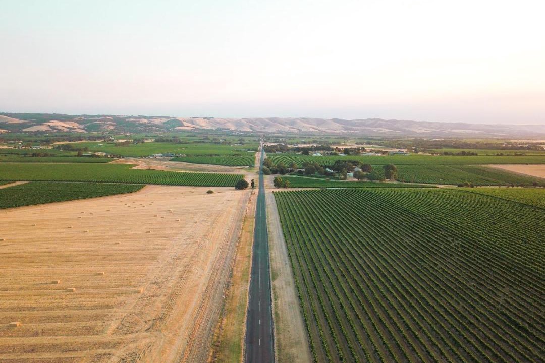 Photo of Others in Whites Valley