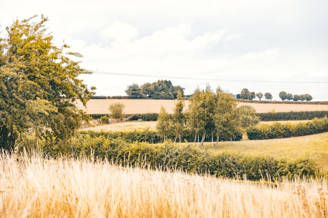 Photo of Outdoor in Much Wenlock