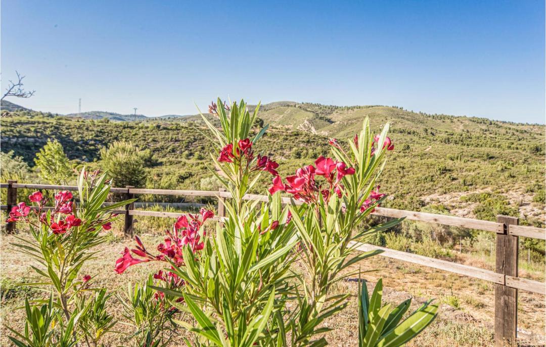 Photo of Others in Les Coves de Vinroma