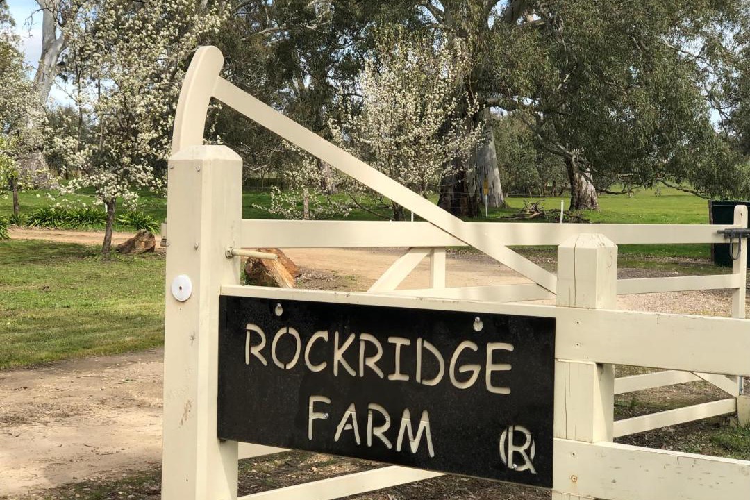 Photo of Others in Talunga