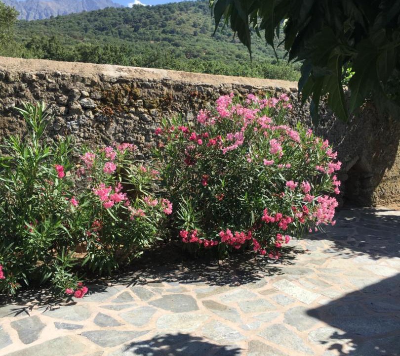 Photo of Others in Muro