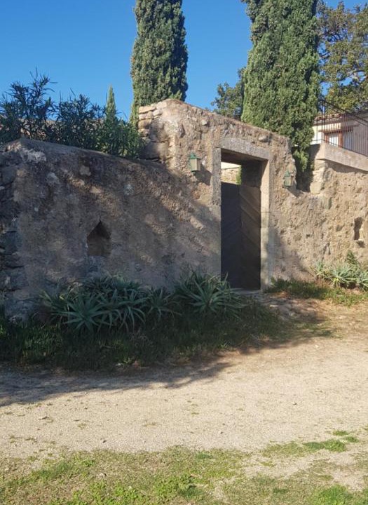 Photo of Buildings in Muro