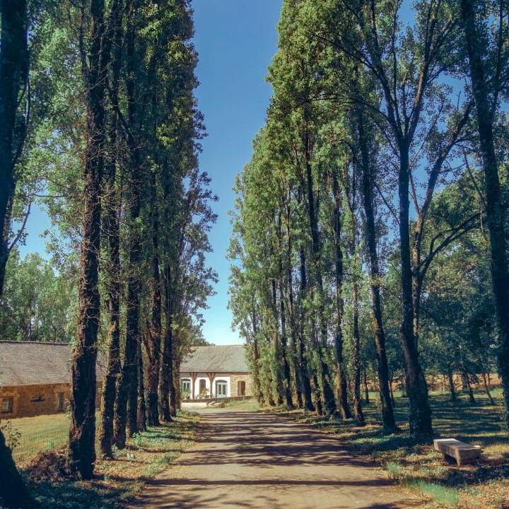 Photo of Others in Forges-la-Foret