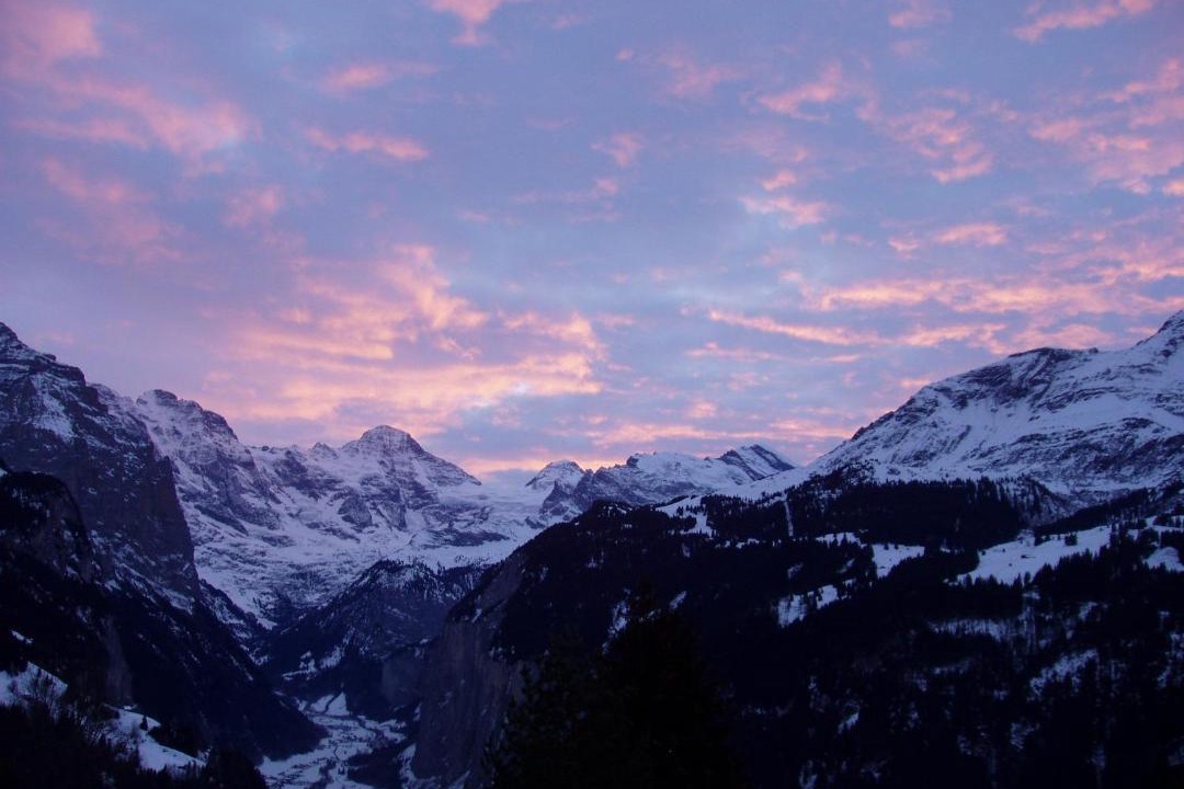 Photo of Others in Wengen