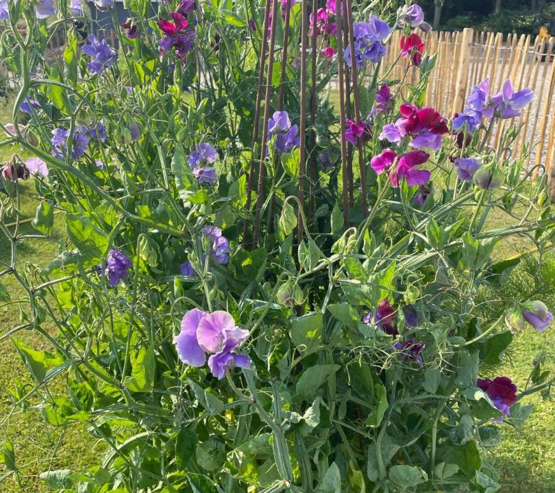 Photo of Outdoor in Svebolle