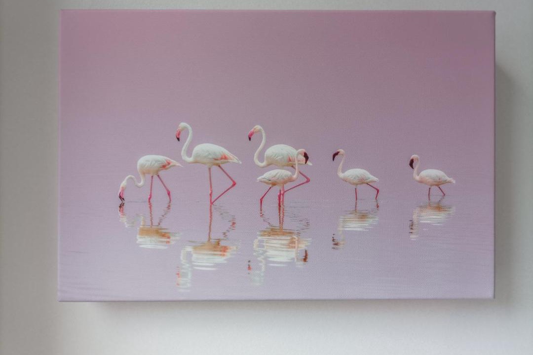 Photo of Others in Bootle