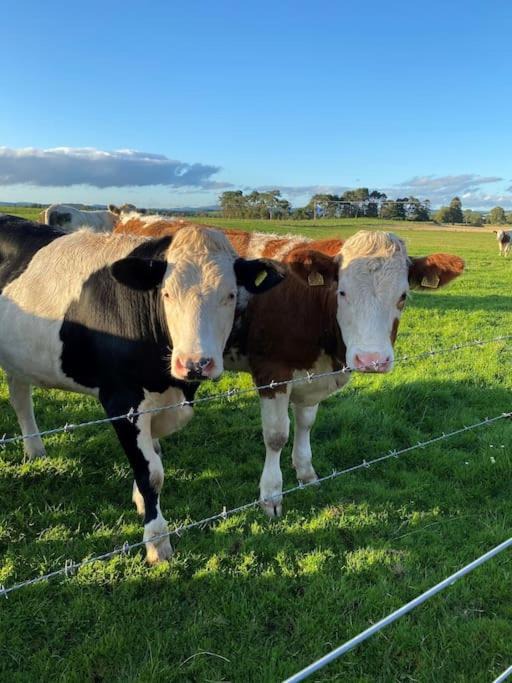 Photo of Others in Lochmaben