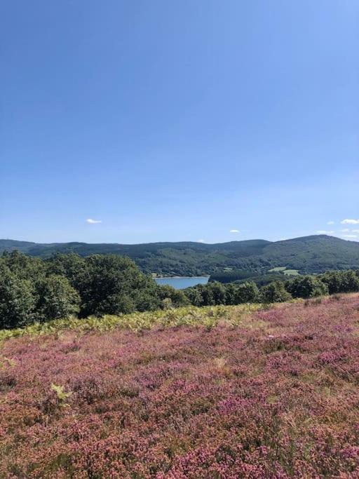 Photo of Outdoor in Arnac-sur-Dourdou