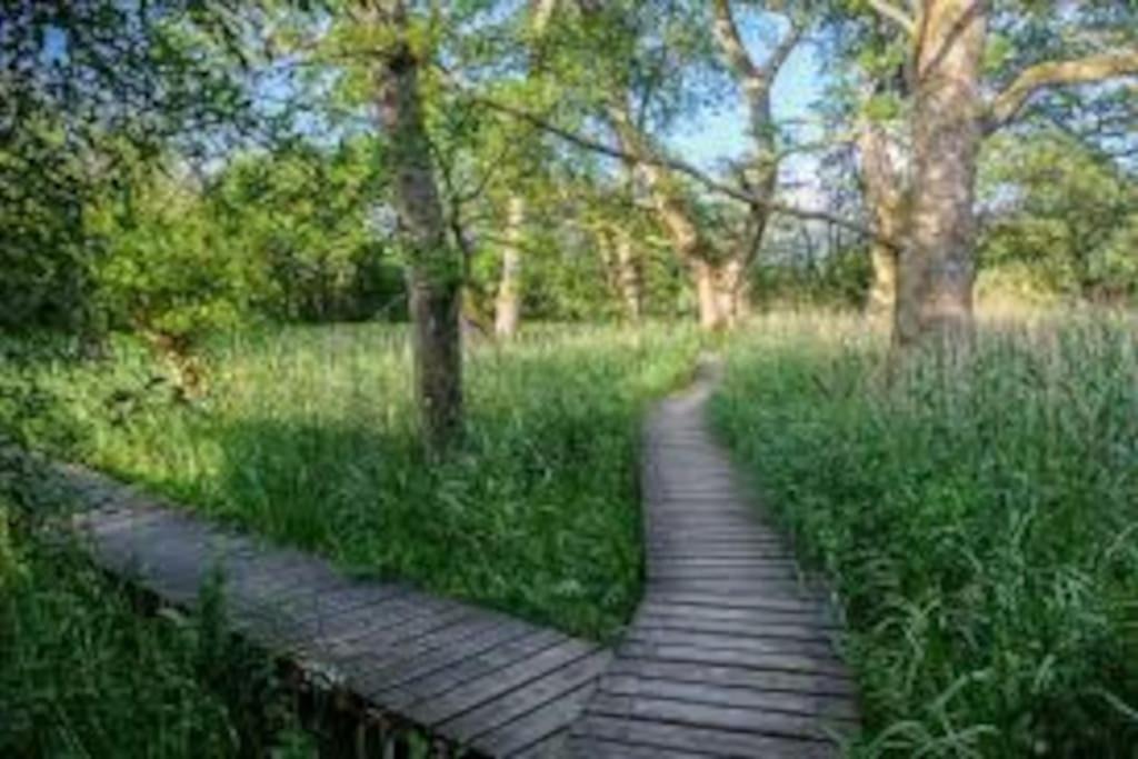 Photo of Others in Lochmaben