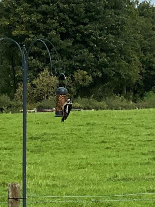 Photo of Others in Lochmaben