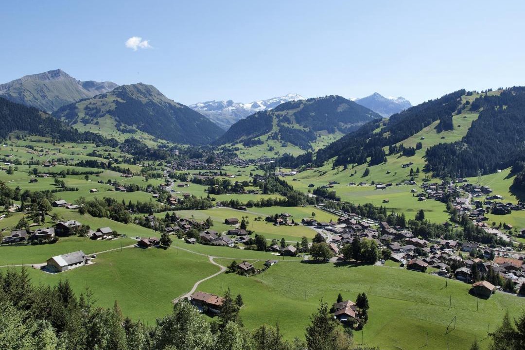 Photo of Others in Saanen