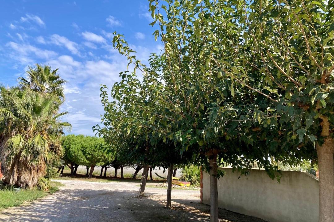 Photo of Outdoor in Torreilles