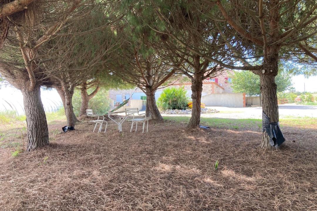 Photo of Outdoor in Torreilles