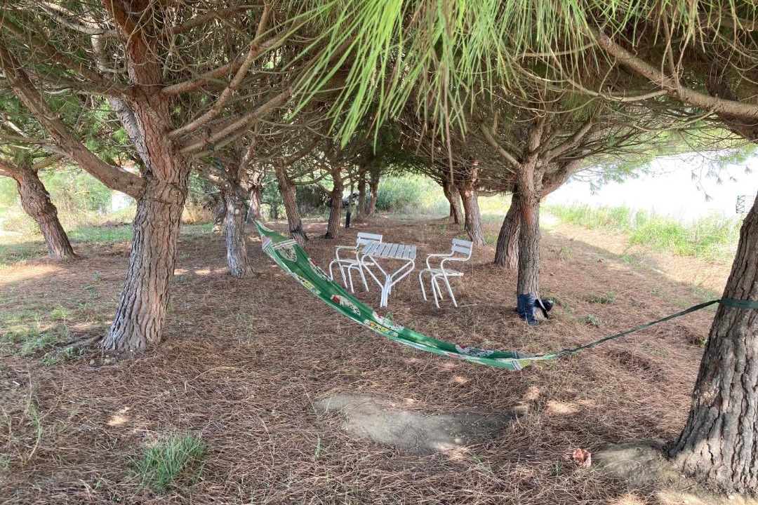 Photo of Others in Torreilles