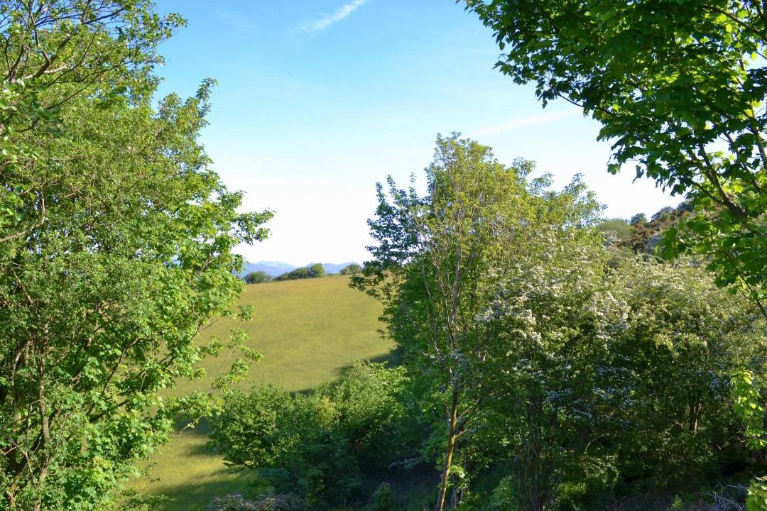 Photo of Others in Askam-in-Furness