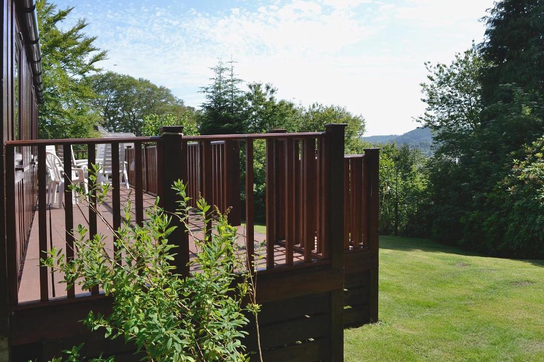 Photo of Others in Rockcliffe