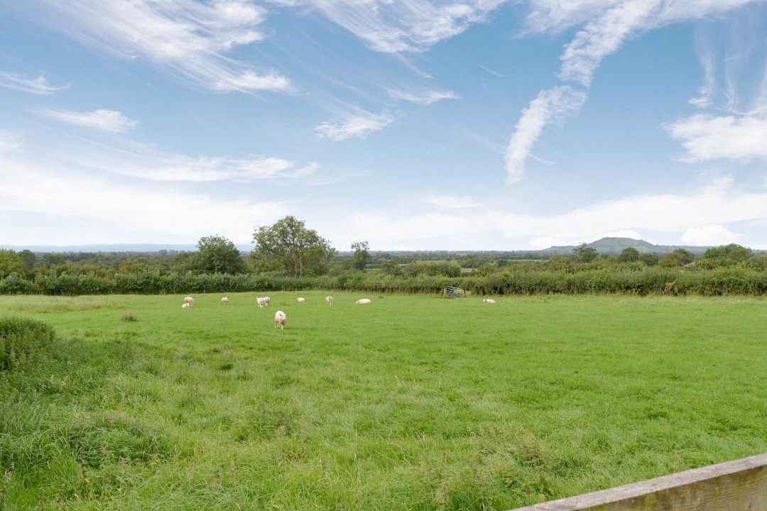 Photo of Others in Axbridge