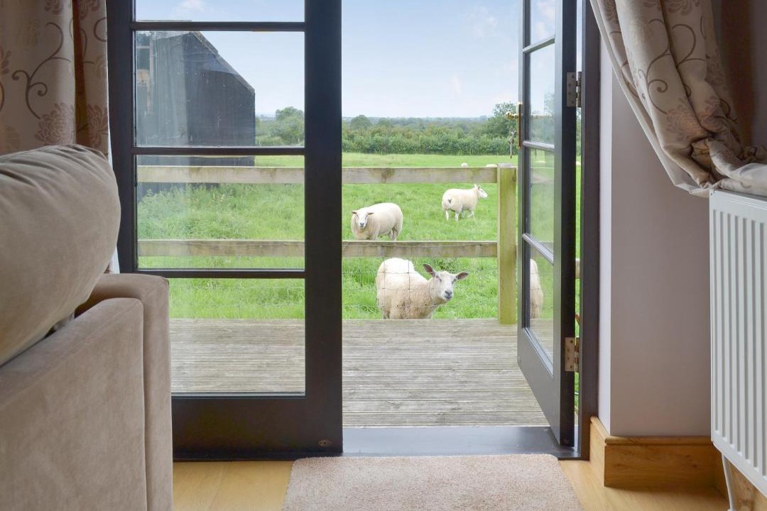 Photo of Others in Axbridge