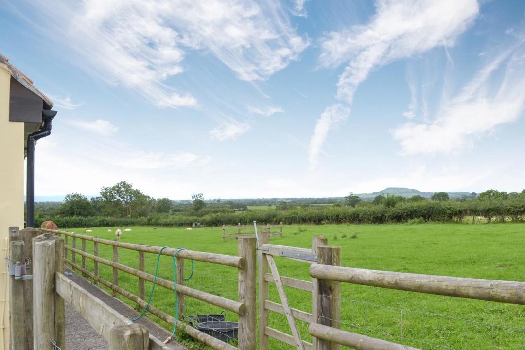 Photo of Others in Axbridge