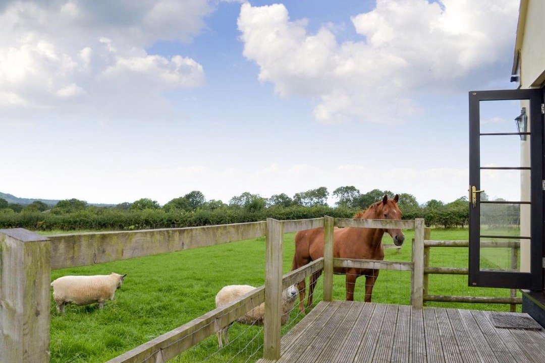 Photo of Others in Axbridge