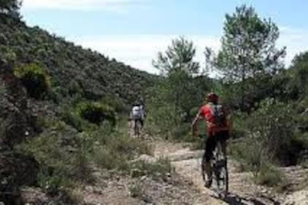 Photo of Others in Los Valientes