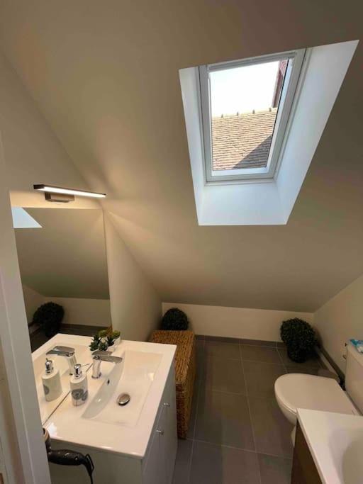 Photo of Others in Sens