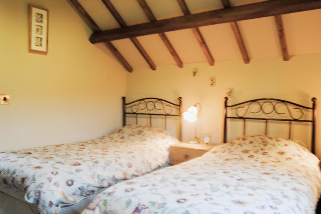 Photo of Others in Caersws