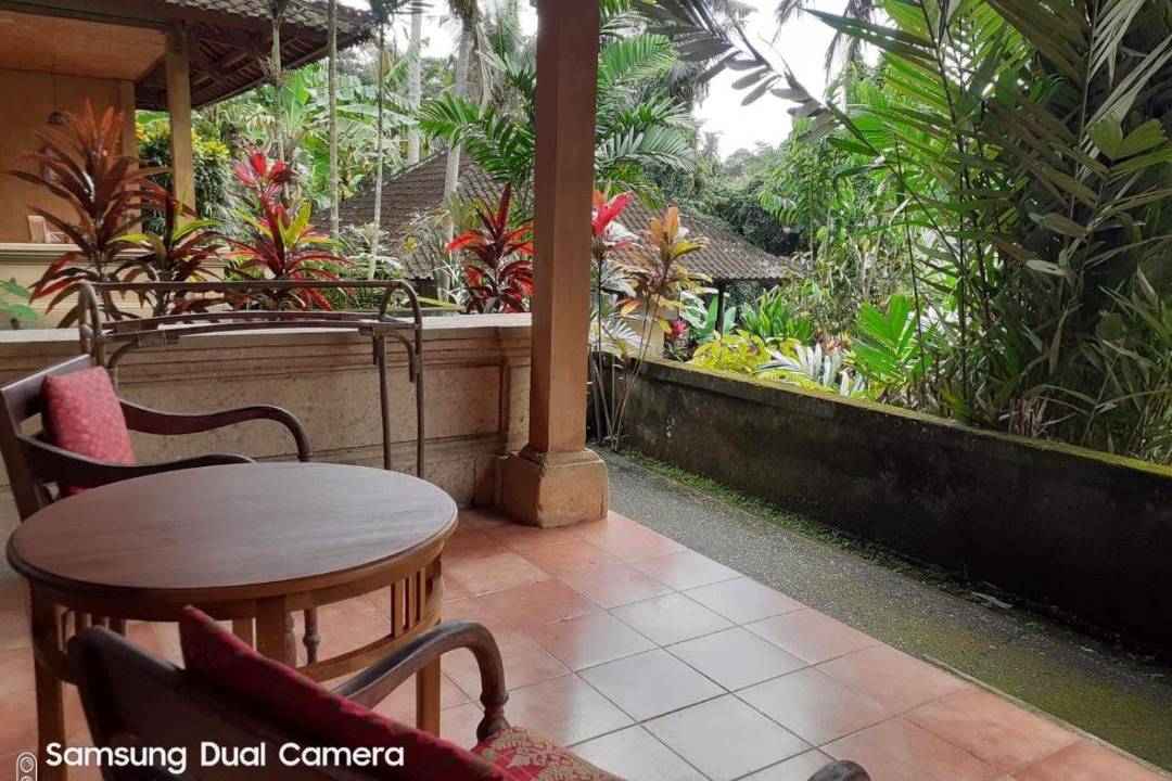 Photo of Others in Ubud