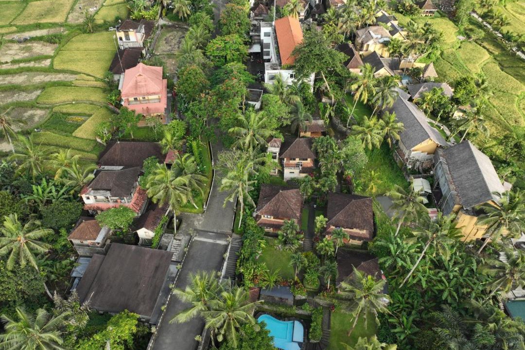 Photo of Others in Ubud
