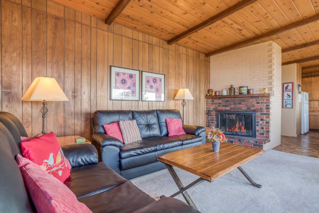 Photo of Others in Seal Rock