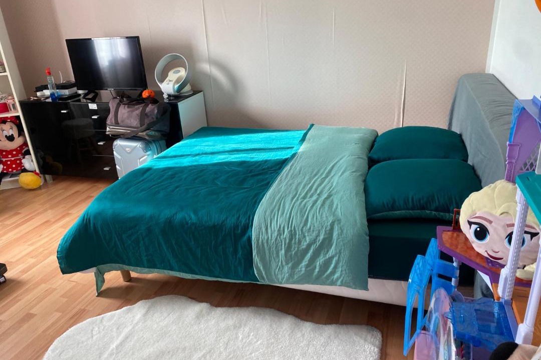 Photo of Bedroom in Quartier de Javel