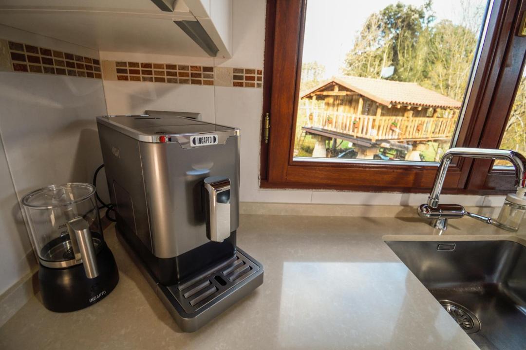 Photo of Kitchen in Traslavina