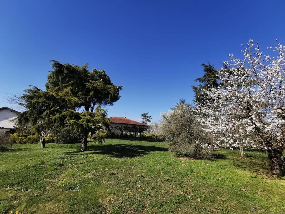 Photo of Others in Gaillac