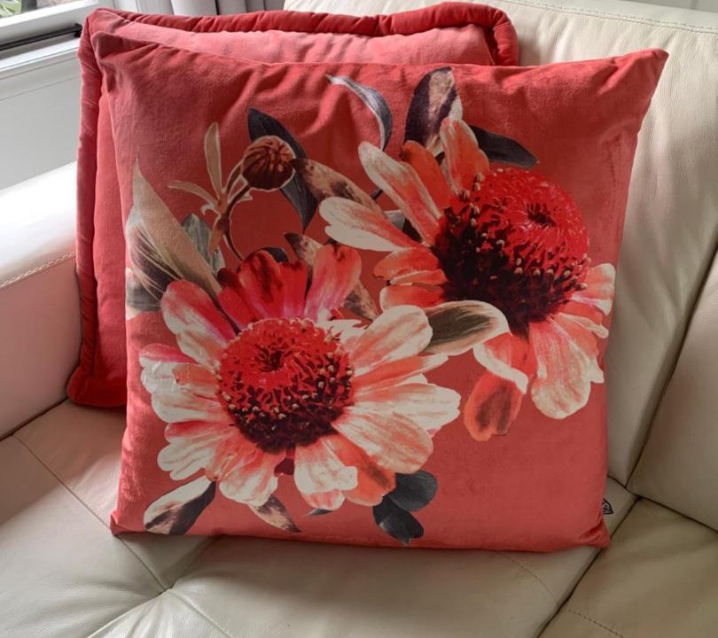 Photo of Others in Gisborne