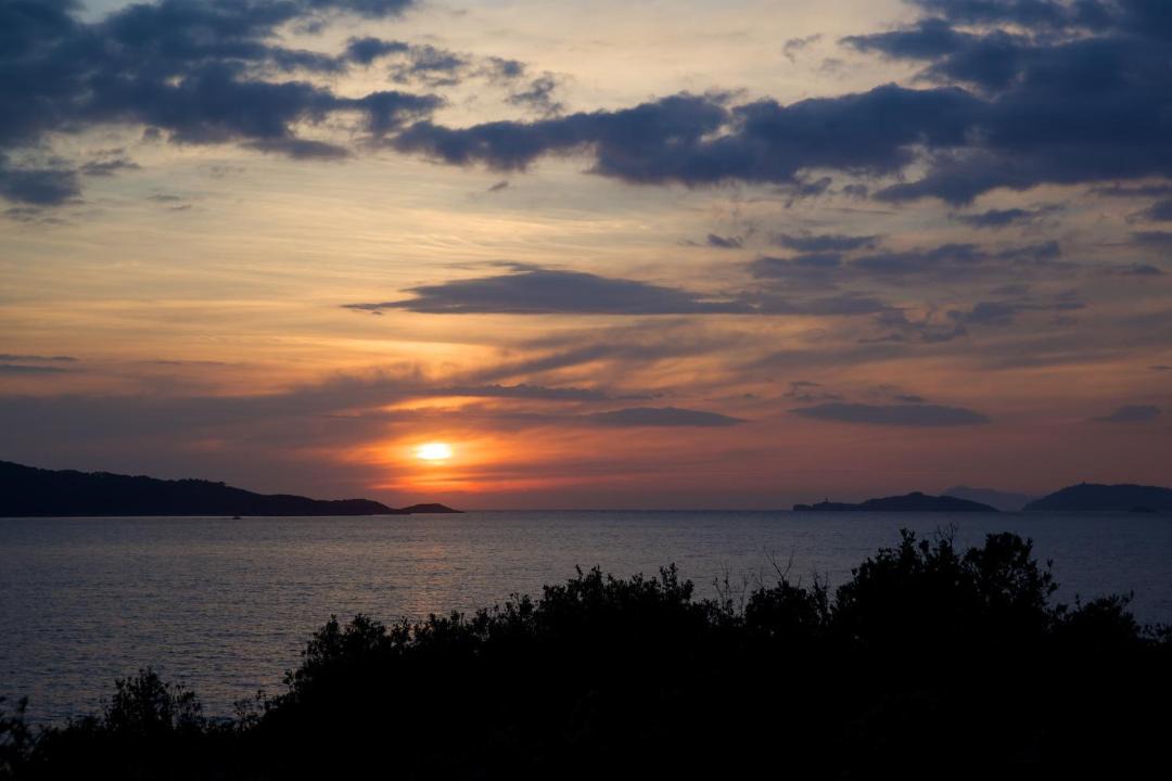 Photo of Others in Porquerolles