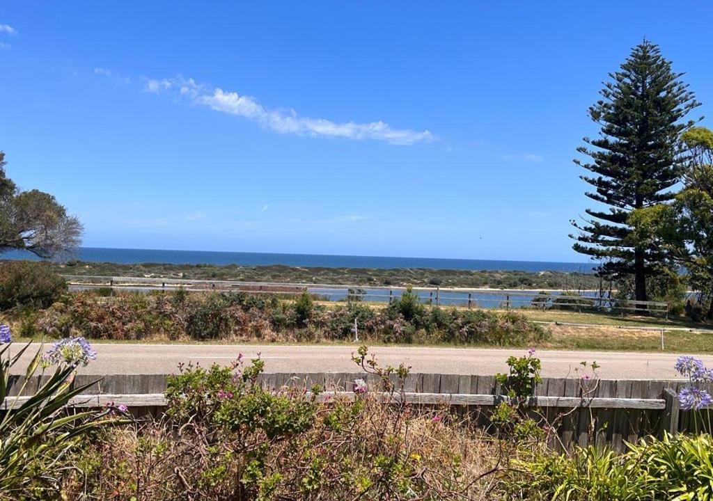 Photo of Others in Marlo