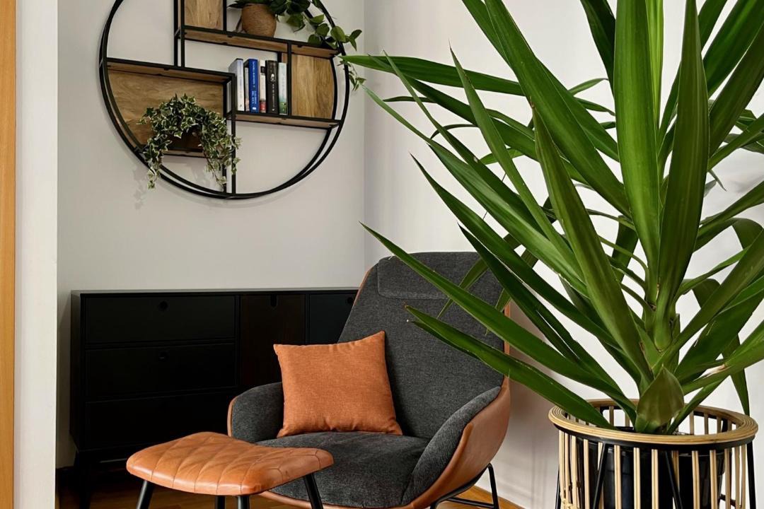 Photo of Livingroom in Tudela