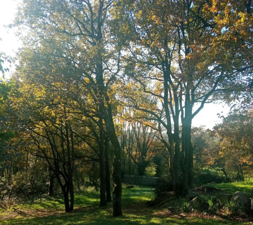 Photo of Others in Les Epesses