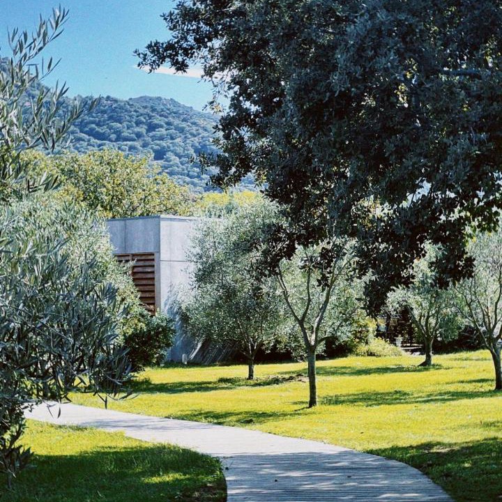 Photo of Others in Pigna