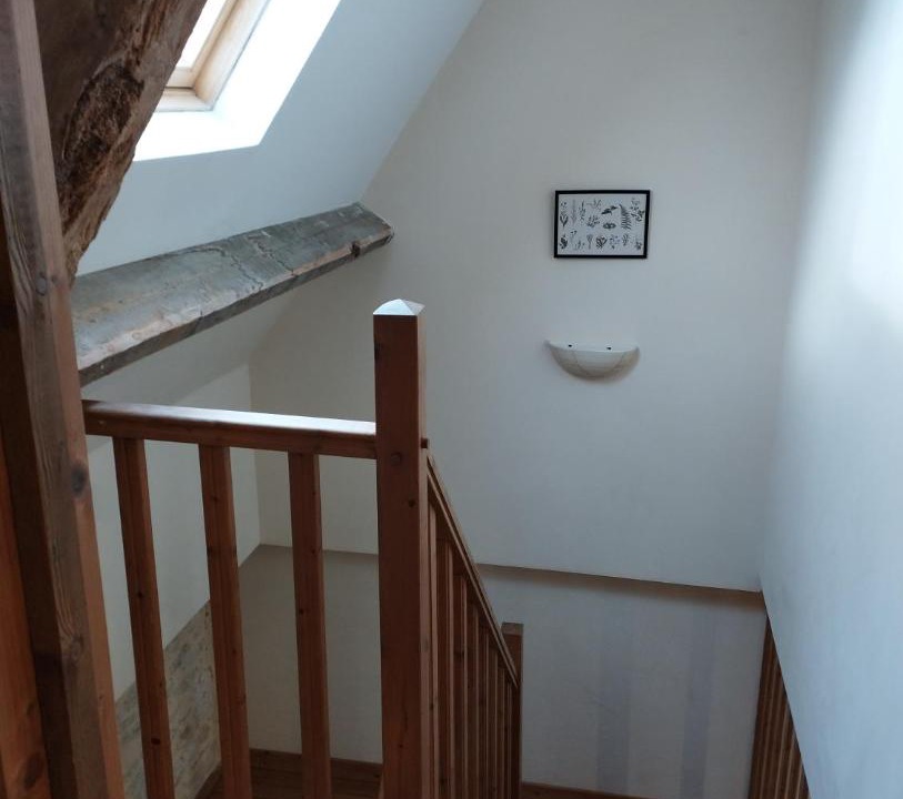 Photo of Others in Sarceaux