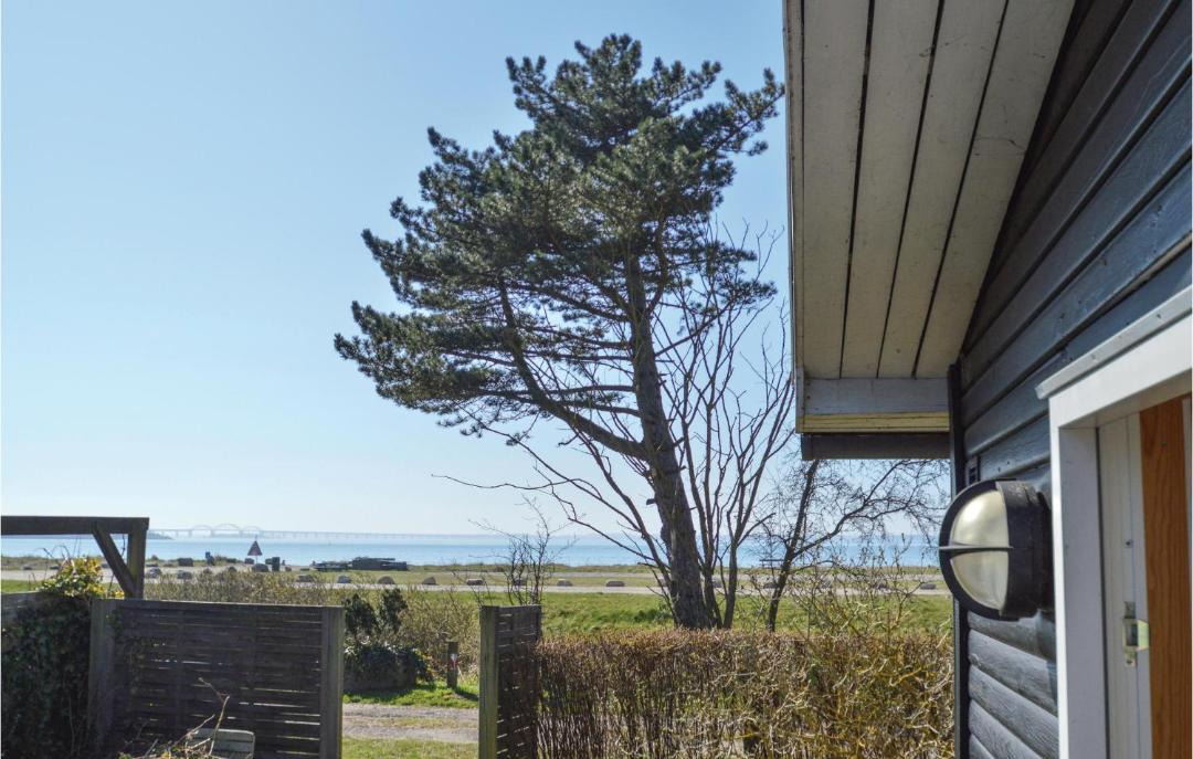 Photo of Others in Vordingborg