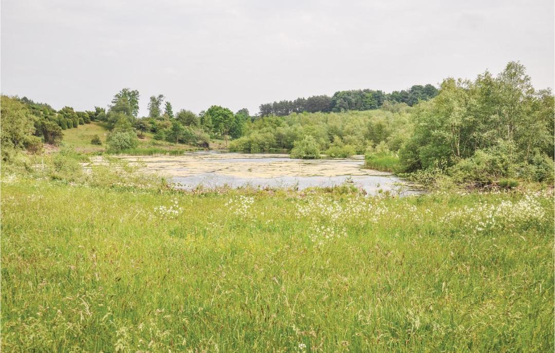 Photo of Others in Faaborg