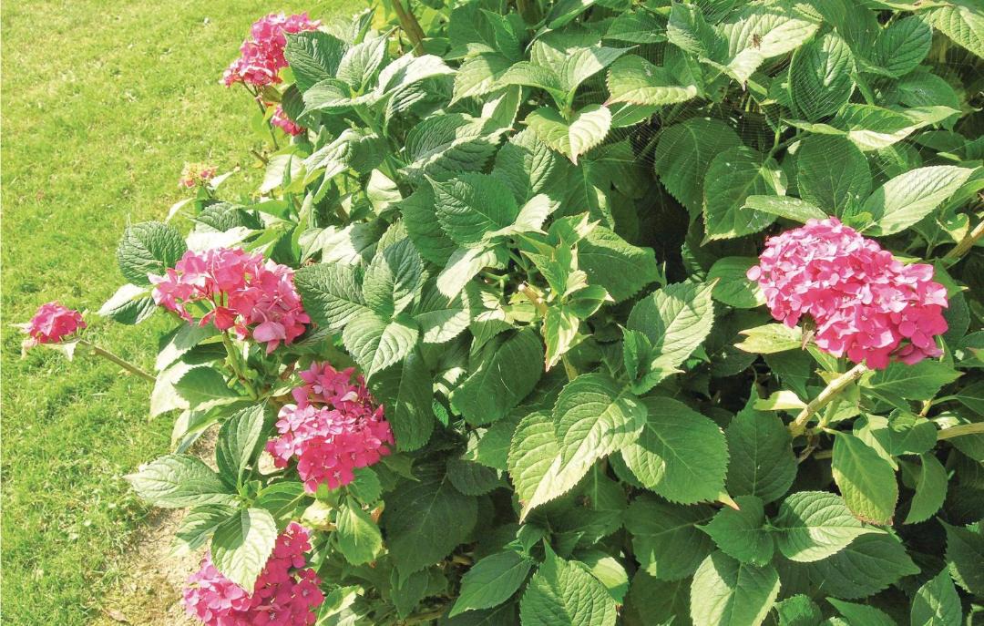 Photo of Others in Kirke Hyllinge